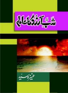 Shab e Arzoo Ka Alam Novel By Aneeza Syed 1