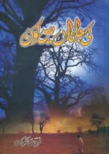 Ki Janan Main Kon Novel By Farhat Shaukat 3 Ki Janan Main Kon Novel By Farhat Shaukat 3