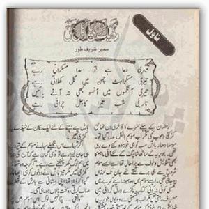 Woh Ik larki Pagal Si Urdu Novel by Sumaira Shareef Toor 1
