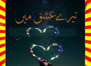 Tere Ishq Mein Urdu Novel By Amal Khatak Part 3 1