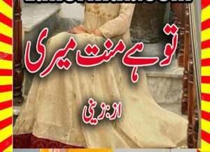 Tu Hai Mannat Meri Urdu Novel By Zaini 1