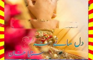 Dil Many Na Urdu Novel By Sanaya Khan 1