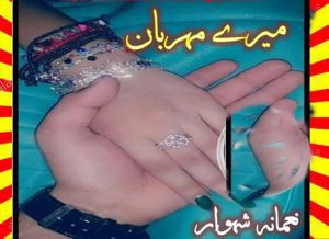 Mere Mehrban Urdu Novel By Mahrosh 1