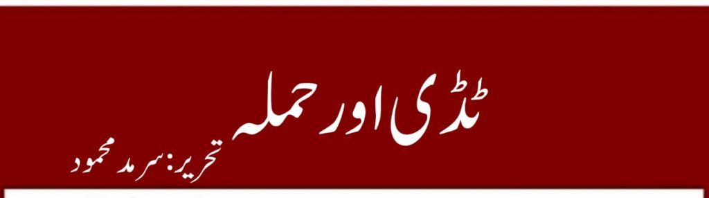 Tiddi Aur Hamla by Sarmad Mehmood 2 Tiddi Aur Hamla by Sarmad Mehmood