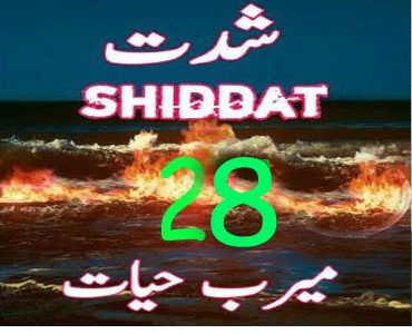 Shiddat Novel Episode 28 By Meerab Hayat