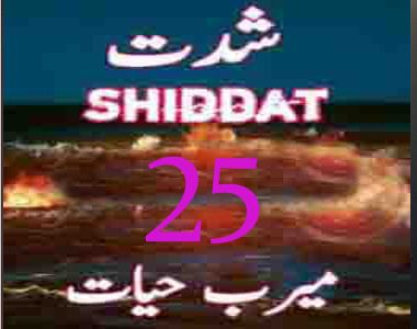 Shiddat Novel Episode 25 By Meerab Hayat