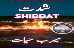 Shiddat Novel by Meerab Hayat Episode 30
