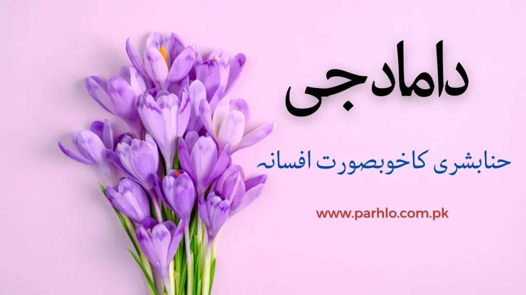 Damad Ji By Hina Bushra 2 Damad Ji By Hina Bushra
