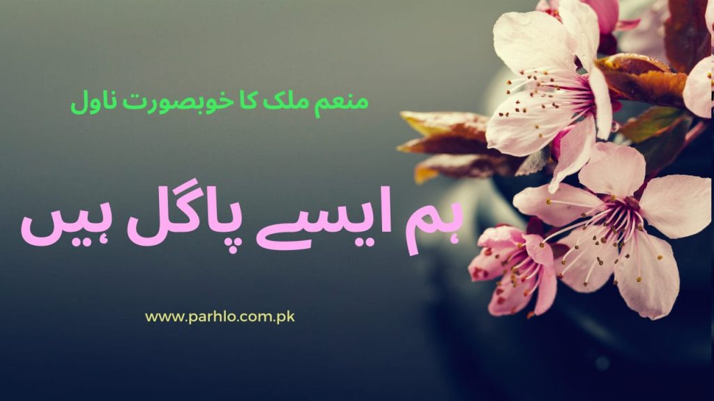Hum Aesy Pagal Hain by Munam Malik 2 Hum Aesy Pagal Hain by Munam Malik